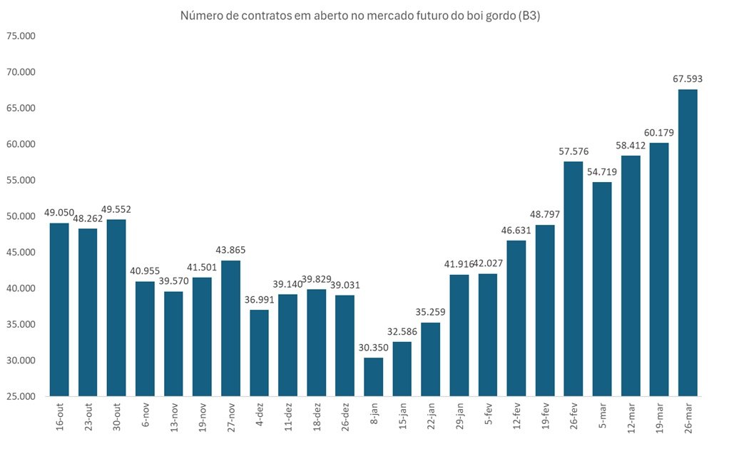 futuro do boi gordo