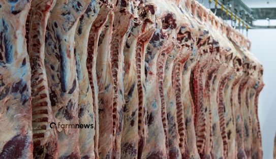 importação de carne bovina do Brasil para a Rússia