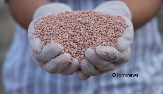 preço de importação de fertilizantes