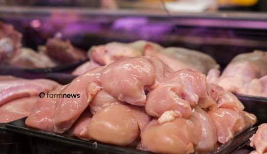 preço do frango