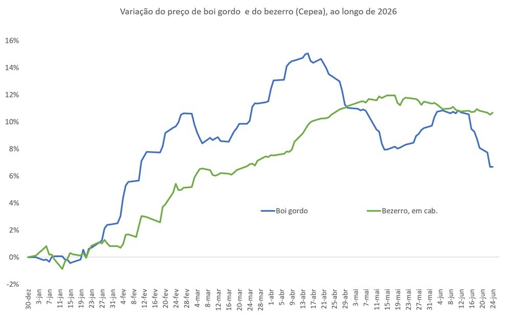 preço do bezerro