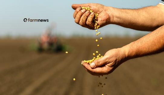 commodity