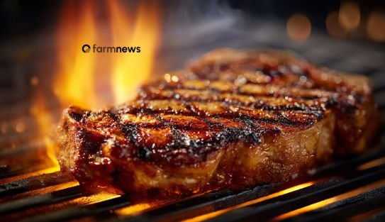importação de carne bovina do Brasil
